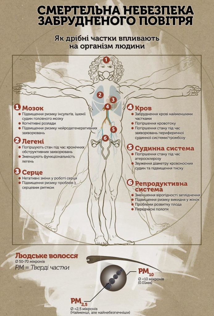 инфографика опасности для здоровья человека от загрязненного воздуха